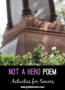 Not A Hero Poem