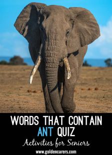 Words That Contain ANT Quiz