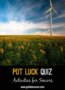 Pot Luck Quiz 13