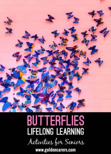 The Wonderful World of the Butterfly