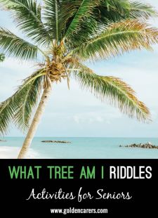 What Tree Am I Riddles