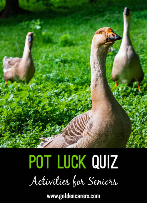 Pot Luck Quiz 14