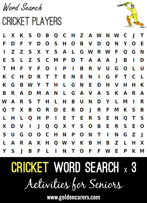 Cricket Wordsearch x 3