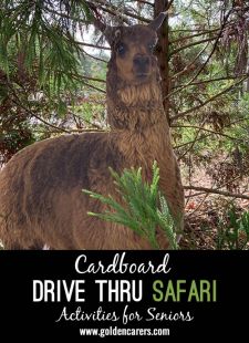 Campus Drive Thru Safari 