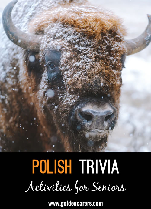 13 Snippets of Polish Trivia