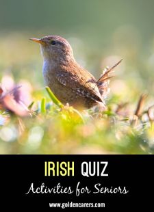 Irish Quiz II