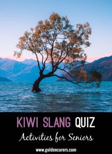 KIWI Slang Quiz