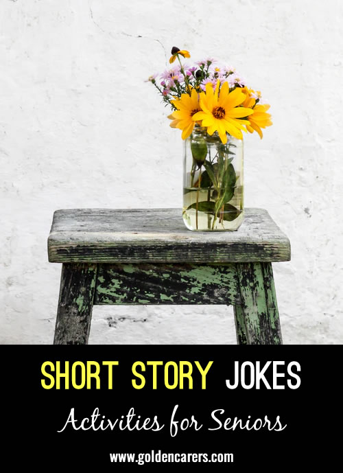 Short Story Jokes #11