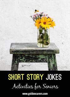 Short Story Jokes #11