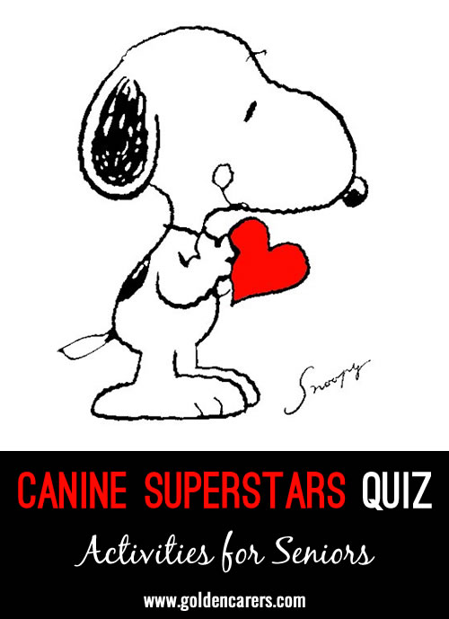 Canine Superstars Quiz