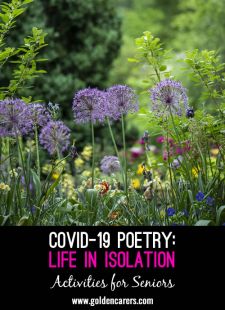 Covid-19 Poetry: Life in Isolation