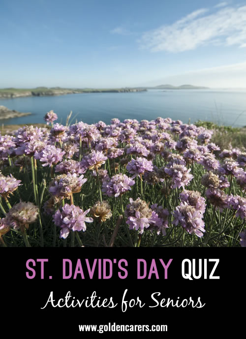 St. David's Day Quiz