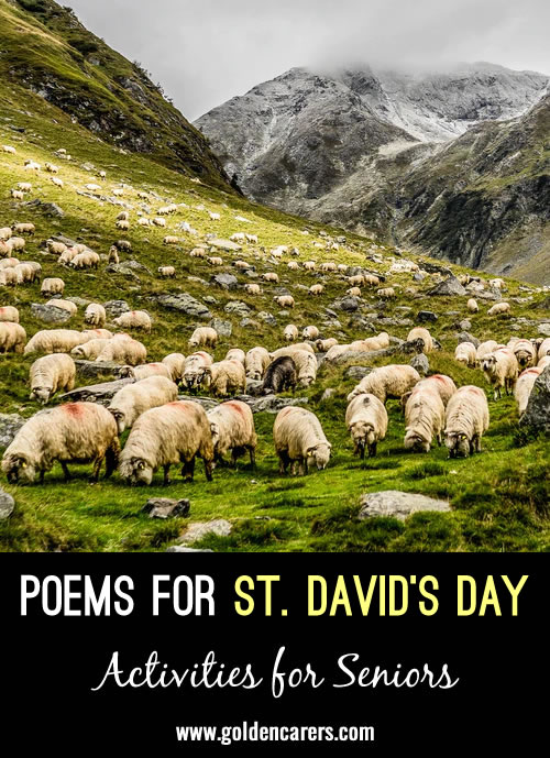 Poems for Saint David's Day