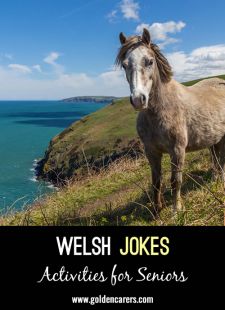 Welsh Jokes