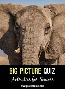 Big Picture Quiz