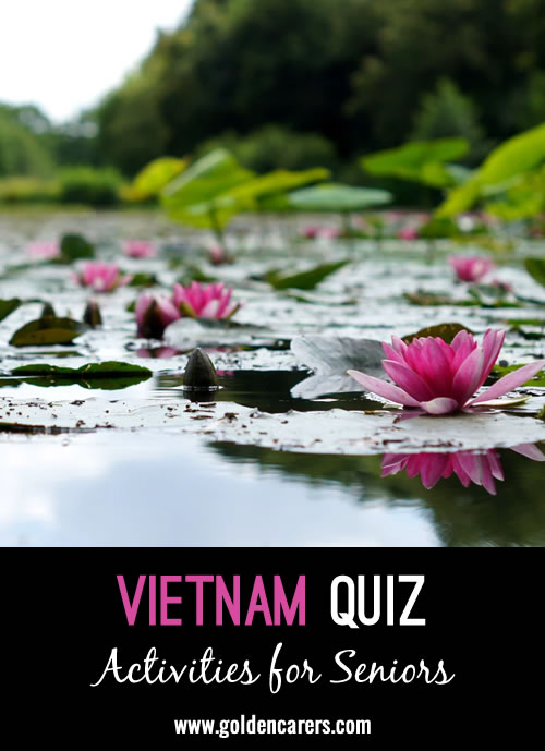 Vietnam Quiz