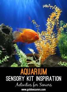 Aquarium Sensory Kit Inspiration