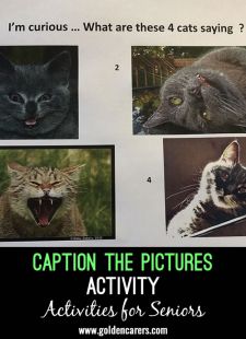 Caption the Pictures Activity