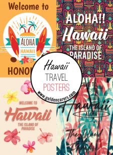 Hawaii Travel Posters