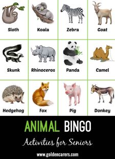 Animal Bingo