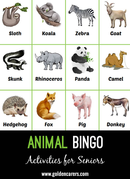 Animal Bingo