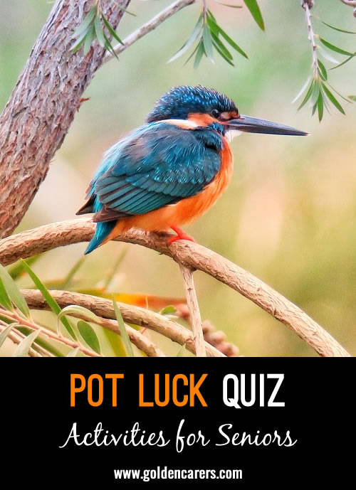 Pot Luck Quiz 20