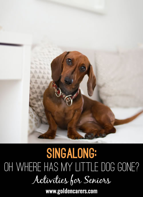 Singalong: Oh where has my little dog gone? 