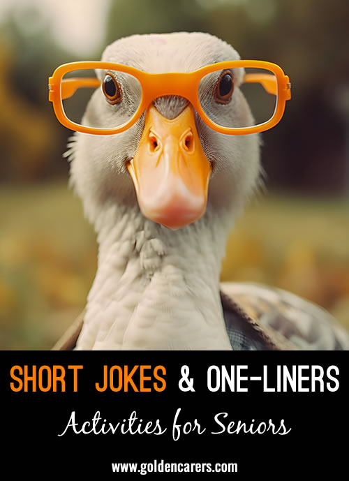 Short Jokes & One-Liners #2