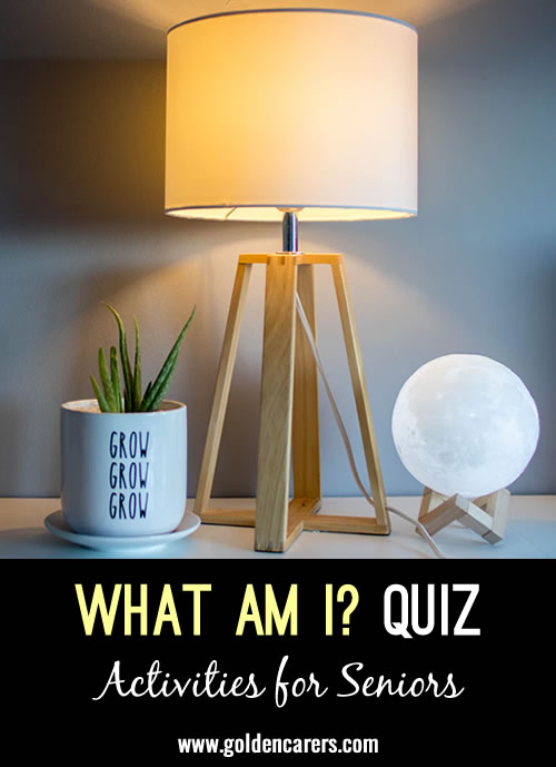 What Am I Quiz