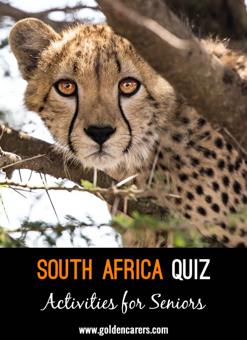 South Africa Quiz