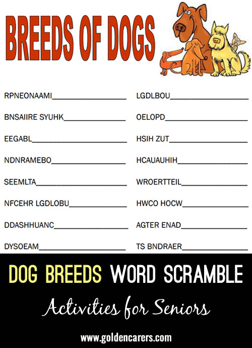 Dog Breeds Word Scramble