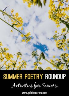 Summer Poetry Roundup