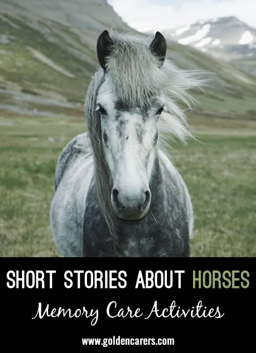 Short Stories about Horses