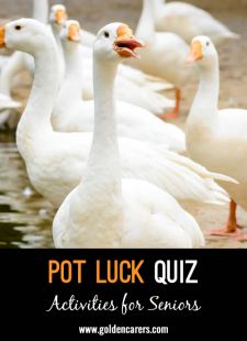 Pot Luck Quiz 21