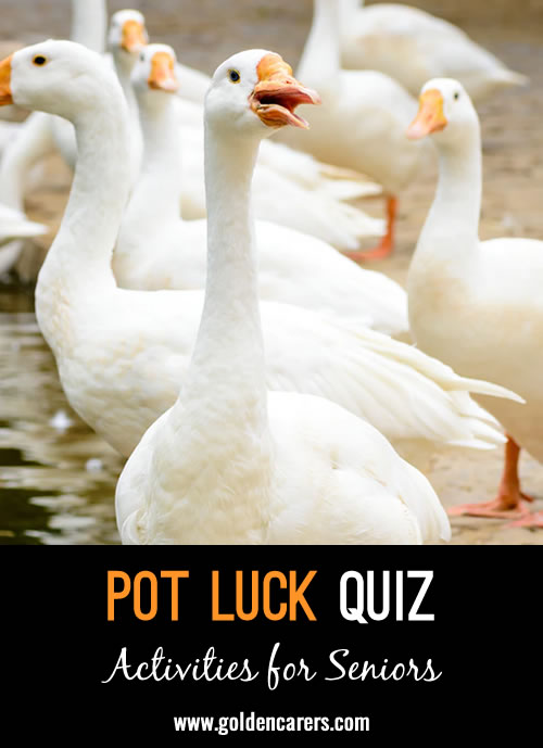 Pot Luck Quiz 21