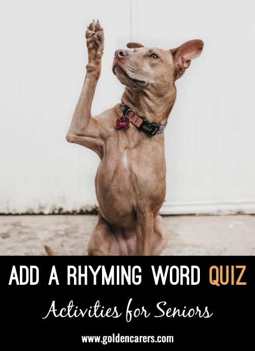 Add a Rhyming Word Quiz