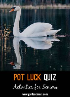 Pot Luck Quiz 22