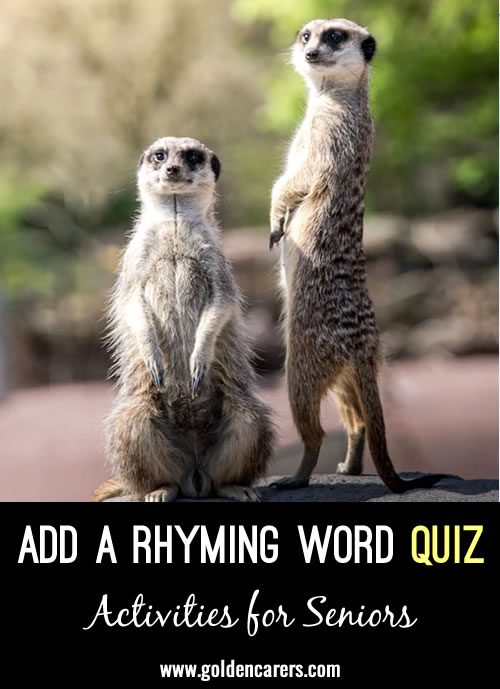 Add a Rhyming Word Quiz #2