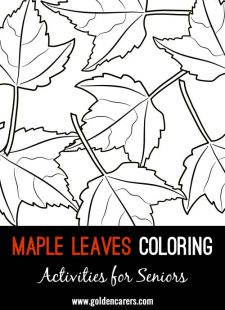 Maple Leaves - Coloring for Seniors