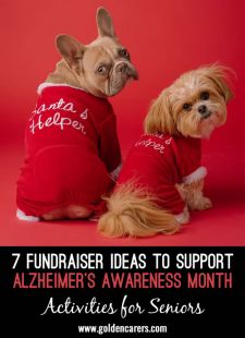 7 Fundraiser Ideas to Support Alzheimer’s Awareness Month