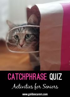 Catchphrase Visual Quiz