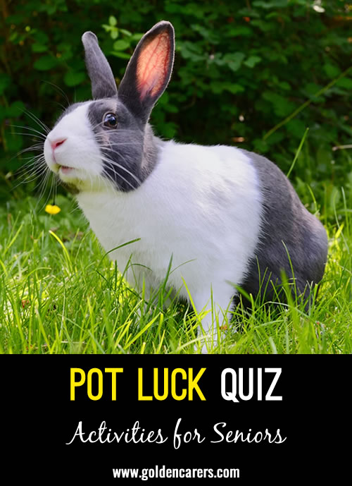 Pot Luck Quiz 27