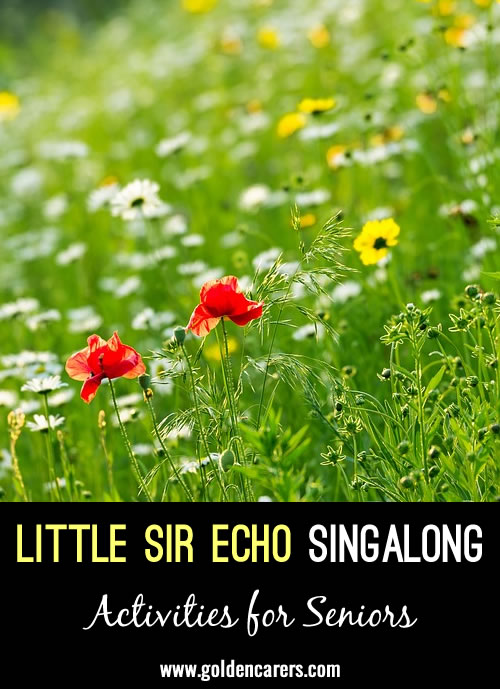 Little Sir Echo Singalong