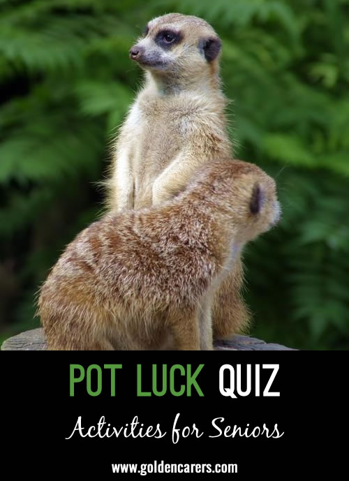 Pot Luck Quiz 28