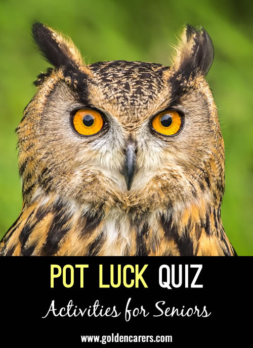 Pot Luck Quiz 29