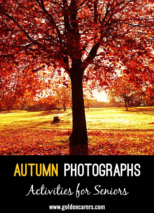 Autumn Photographs