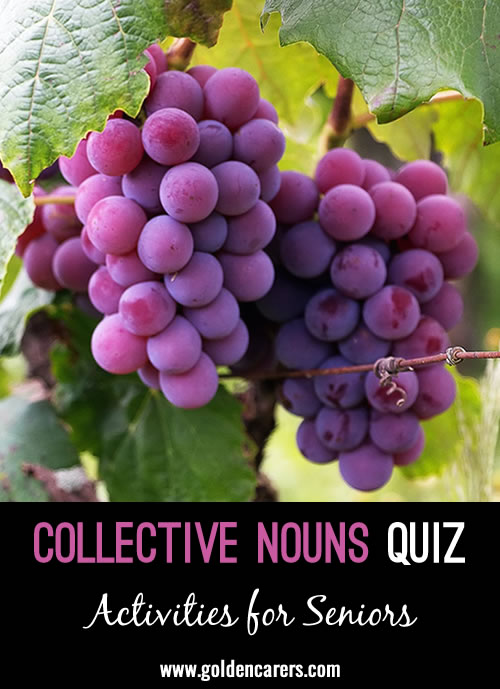 Collective Nouns Word Bank Quiz