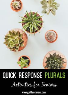 Quick Response Quiz: Plurals