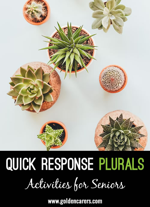 Quick Response Quiz: Plurals