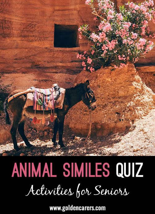 Animal Similes Quiz